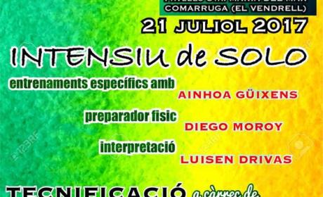 TECNIFICACIÓ DE SOLODANCE