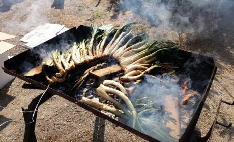 Fotos Calçotada futbol 2015