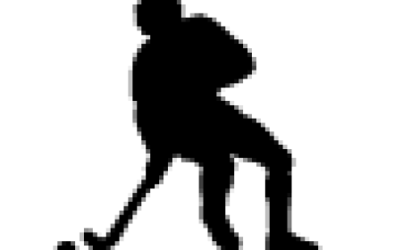 COMENÇA LA 2ª FASE DELS EQUIPS FEDERATS D'HOQUEI PATINS