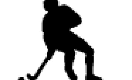 COMENÇA LA 2ª FASE DELS EQUIPS FEDERATS D'HOQUEI PATINS